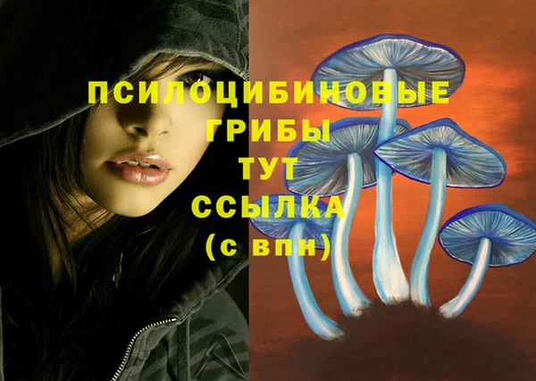 наркотики Белокуриха
